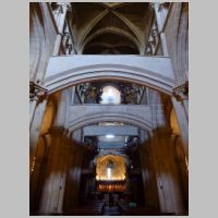 Tui, photo Zarateman, Wikipedia.jpg